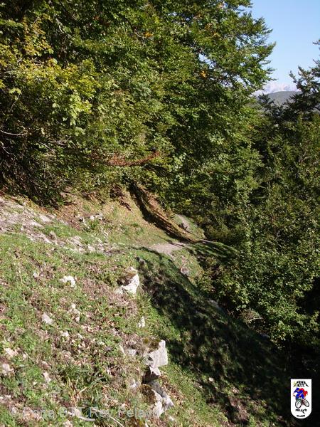 20050924122153-Imagen 057.jpg
