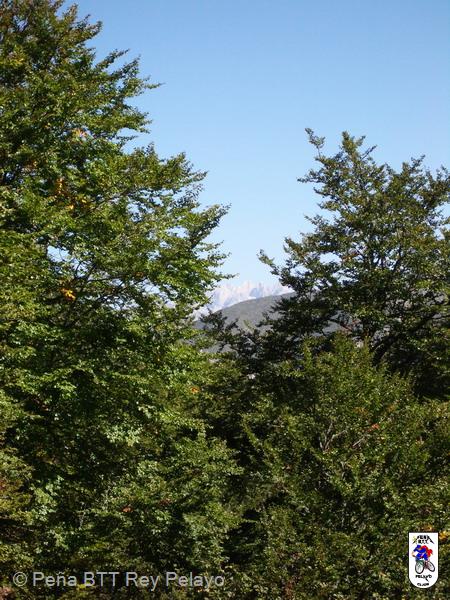 20050924122208-Imagen 059.jpg
