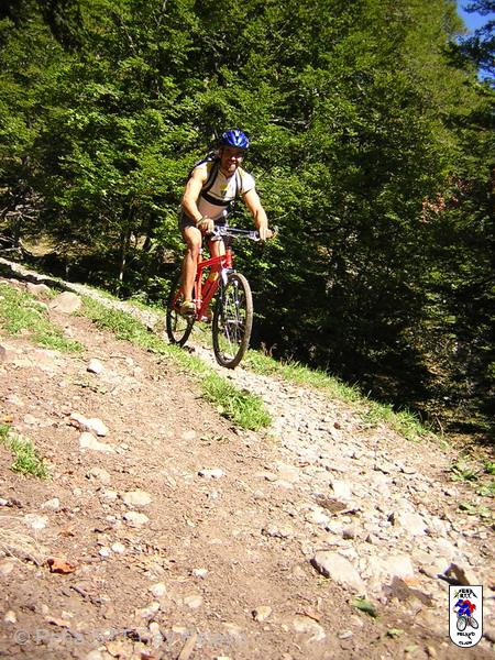 20050924131802-pelono 060.jpg