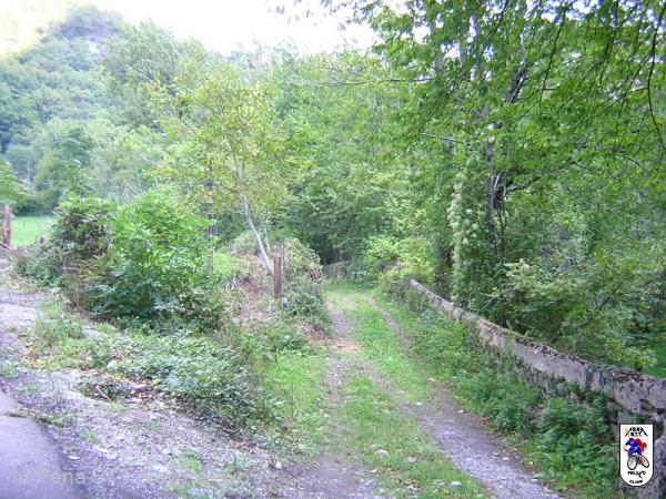 20050924164100-pelono 085.jpg