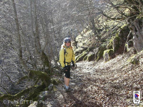 20070113151146-CIMG1368.JPG