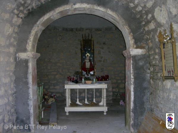 20070113155434-CIMG1372.JPG