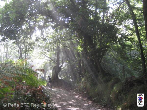 20150829094821.JPG