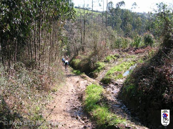 20040313111856-fot7.jpg