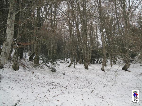20161126144307_bySaul.jpg