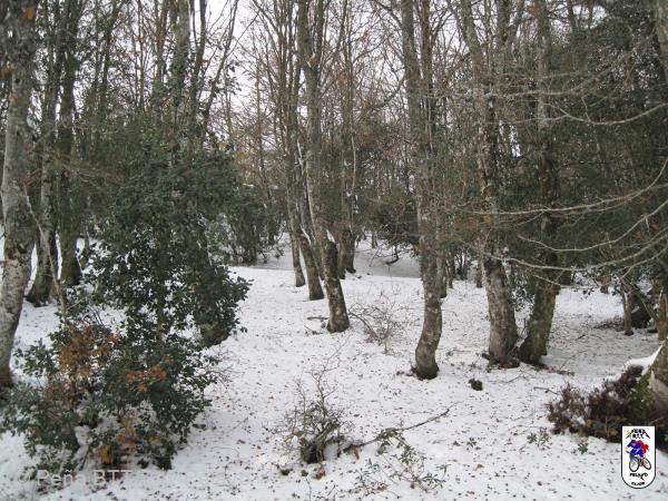 20161126144310_bySaul.jpg