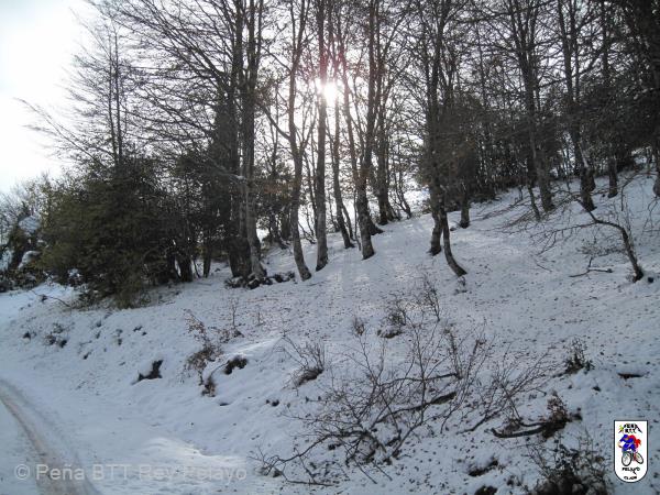 20161126144313_bySaul.jpg