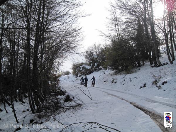 20161126144409_bySaul.jpg