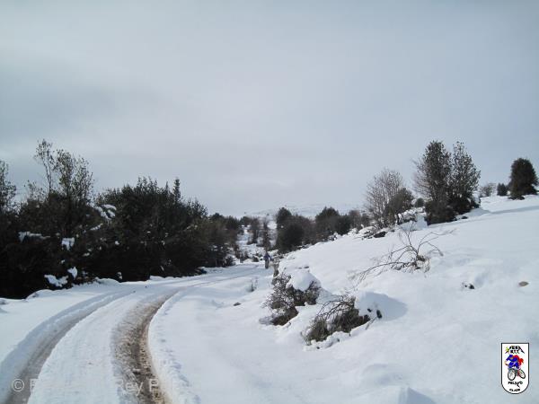 20161126144741_bySaul.jpg
