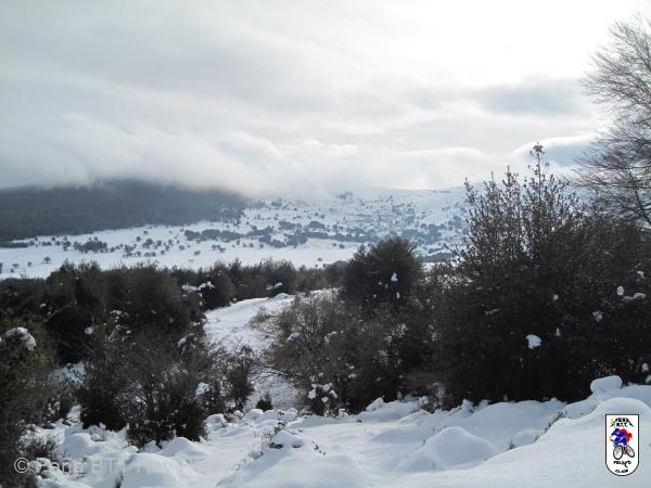 20161126144743_bySaul.jpg