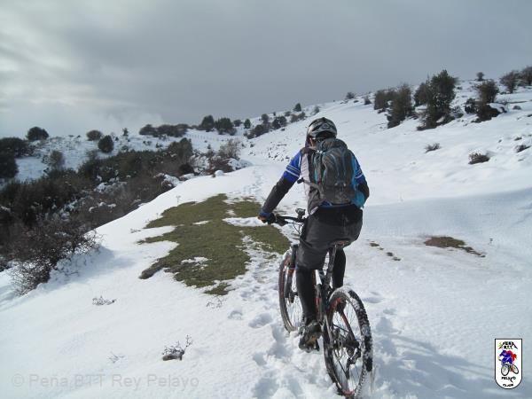 20161126145748_bySaul.jpg