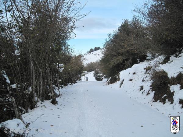 20161126152917_bySaul.jpg