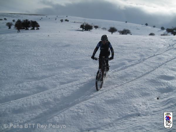 20161126160115_bySaul.jpg