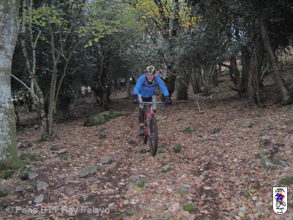 20161126175054_bySaul.jpg