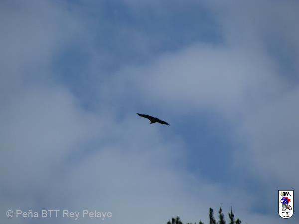 20120204134550.jpg