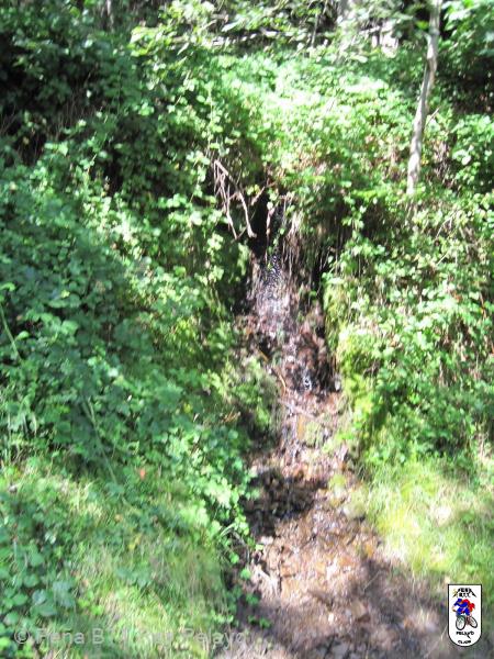 20160827112647_Saul.jpg