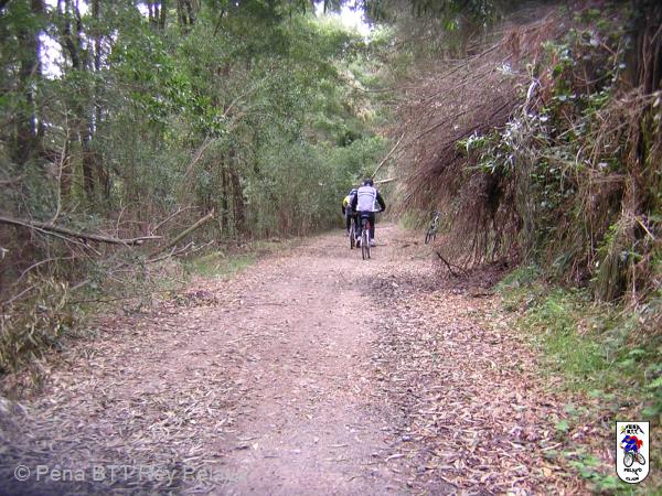 20050403110224-DSCN2824.JPG