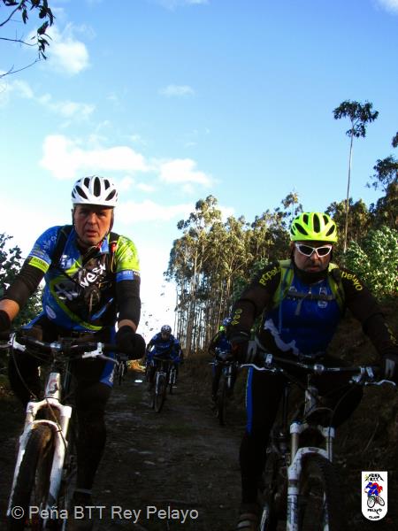 20131228133256_rp.jpg