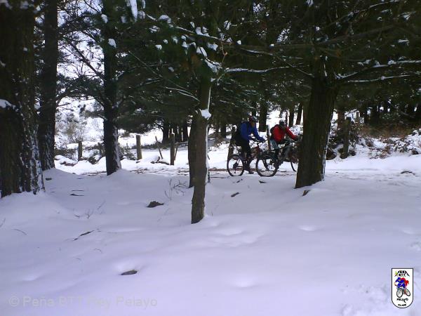 20070127113854-DSC00074.JPG