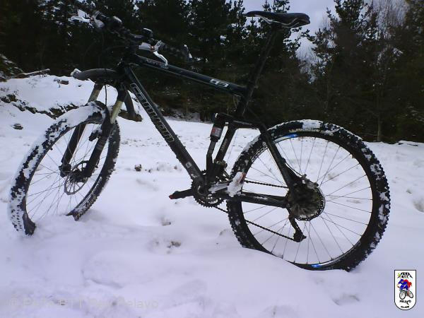 20070127114330-DSC00077.JPG