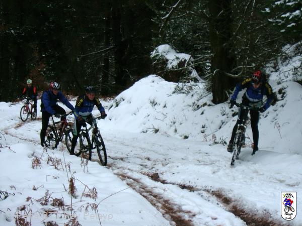 20070127122938-Agus_06.JPG