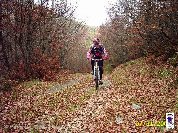 20041107025212-PIC_0024.JPG