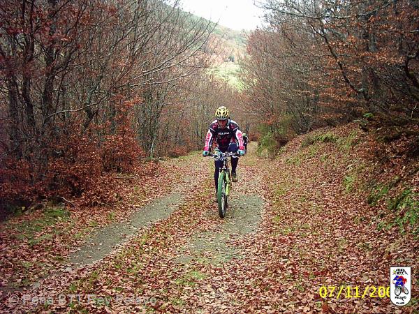 20041107025313-PIC_0027.JPG