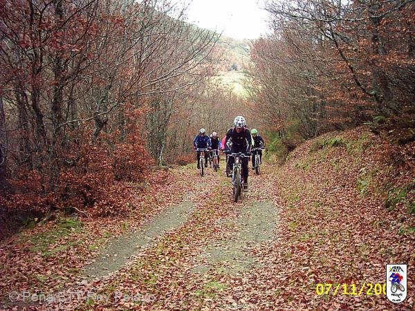 20041107025325-PIC_0028.JPG