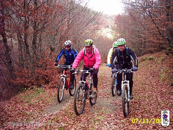 20041107025332-PIC_0029.JPG