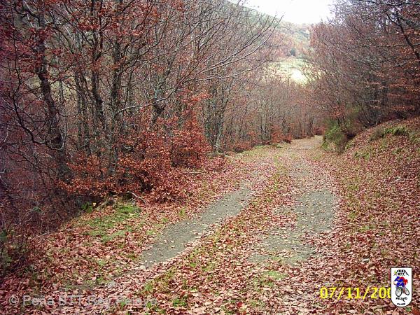 20041107025339-PIC_0030.JPG