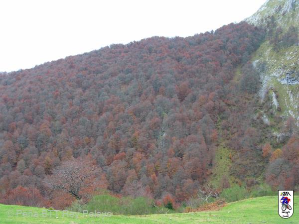 20041107142347-DSCN3273.JPG