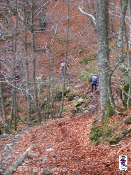 20041107145751-CIMG0605.JPG
