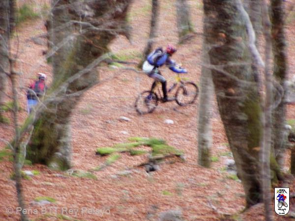 20041107150401-Tarna_Bezanes_43.jpg