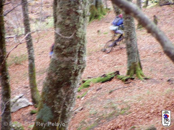 20041107150406-Tarna_Bezanes_44.jpg
