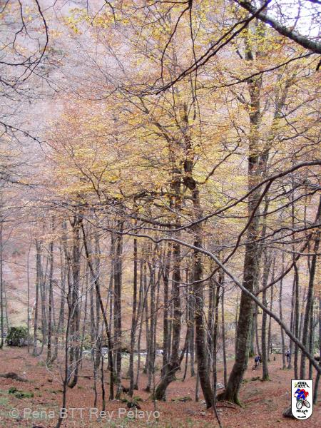 20041107150433-Tarna_Bezanes_45.jpg
