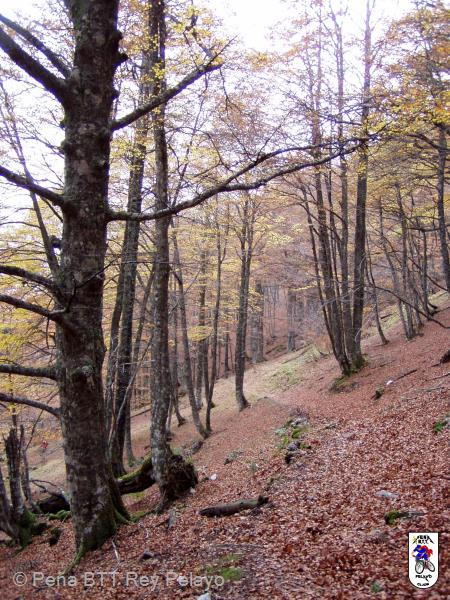 20041107150449-Tarna_Bezanes_46.jpg