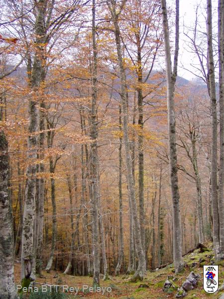 20041107151804-Tarna_Bezanes_48.jpg