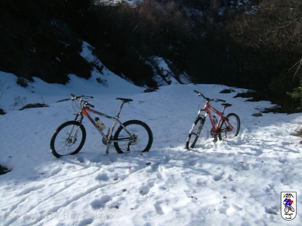 20090118142408_byAgus.jpg