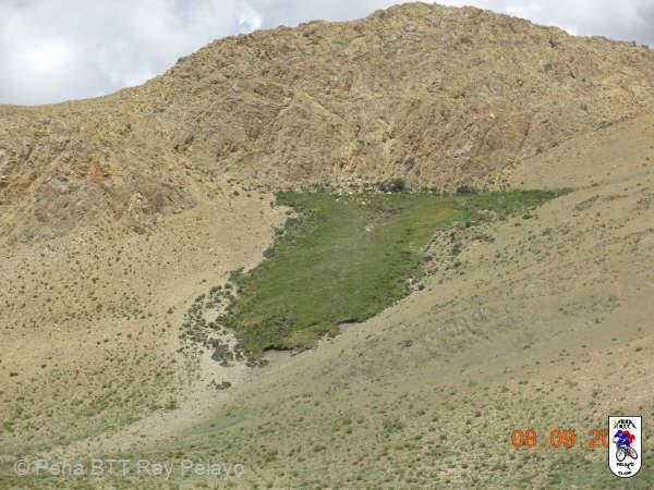 00000000000000-Tibet_52.JPG