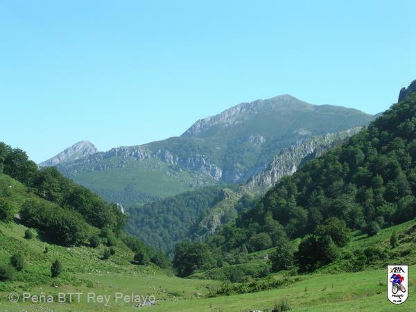 20040807114943-fot2.jpg