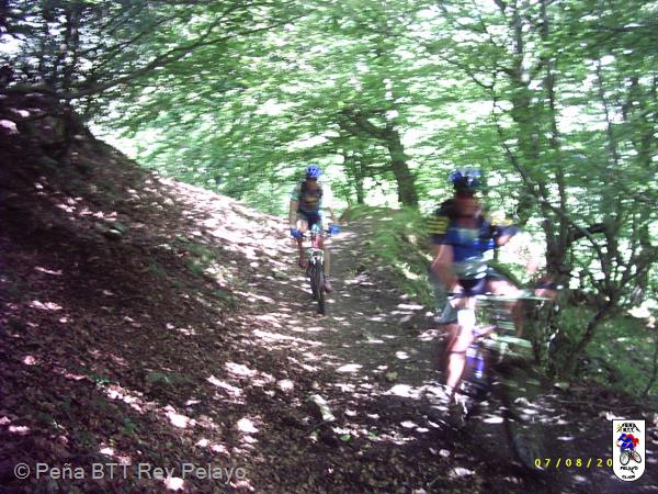 20040807121337-fot46.jpg
