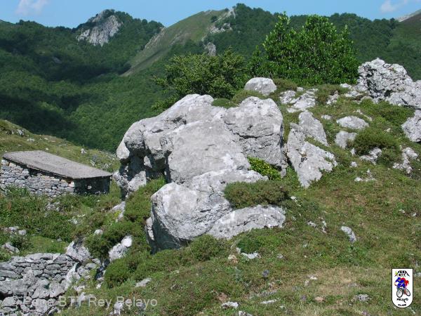 20040807125429-fot15.jpg