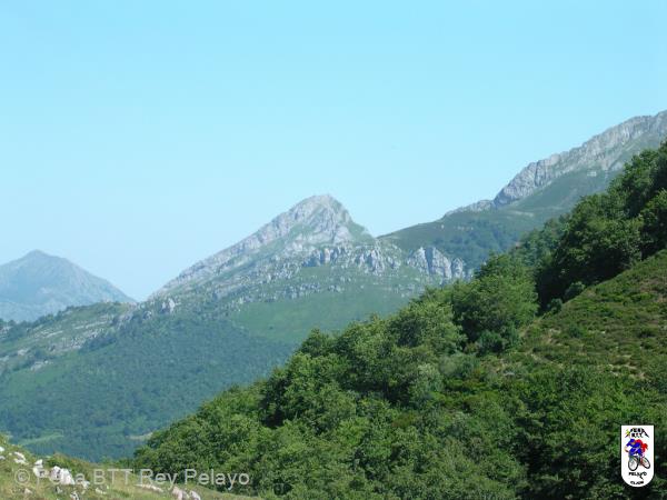 20040807125522-fot17.jpg