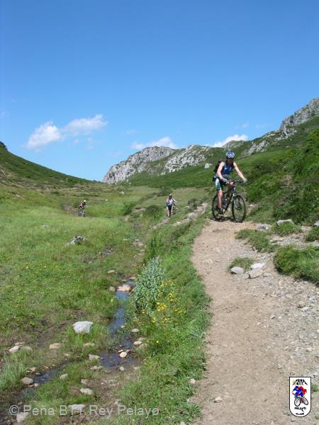 20040807131239-fot19.jpg