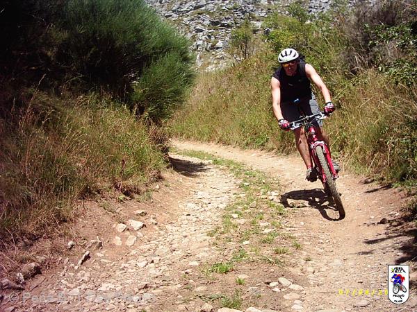 20040807132842-fot53.jpg