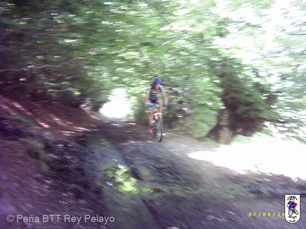 20040807135855-fot62.jpg