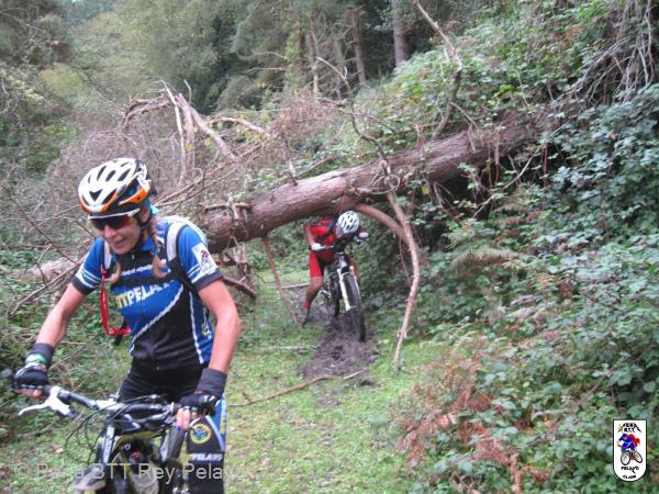 20161002163835_bySaul.jpg