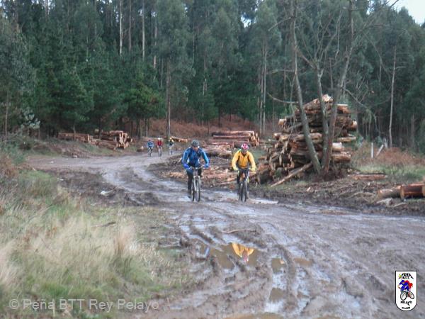 20031129115221-fot6.jpg