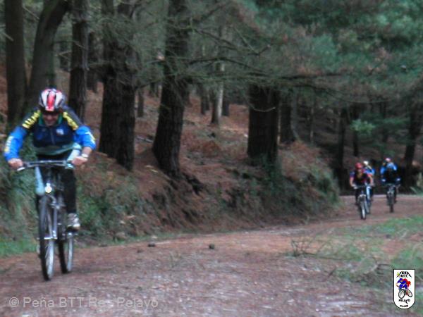 20031129121456-fot7.jpg
