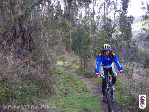 20070310112032-Cristian_d10-m03-a2007_h11-m20-2.jpg